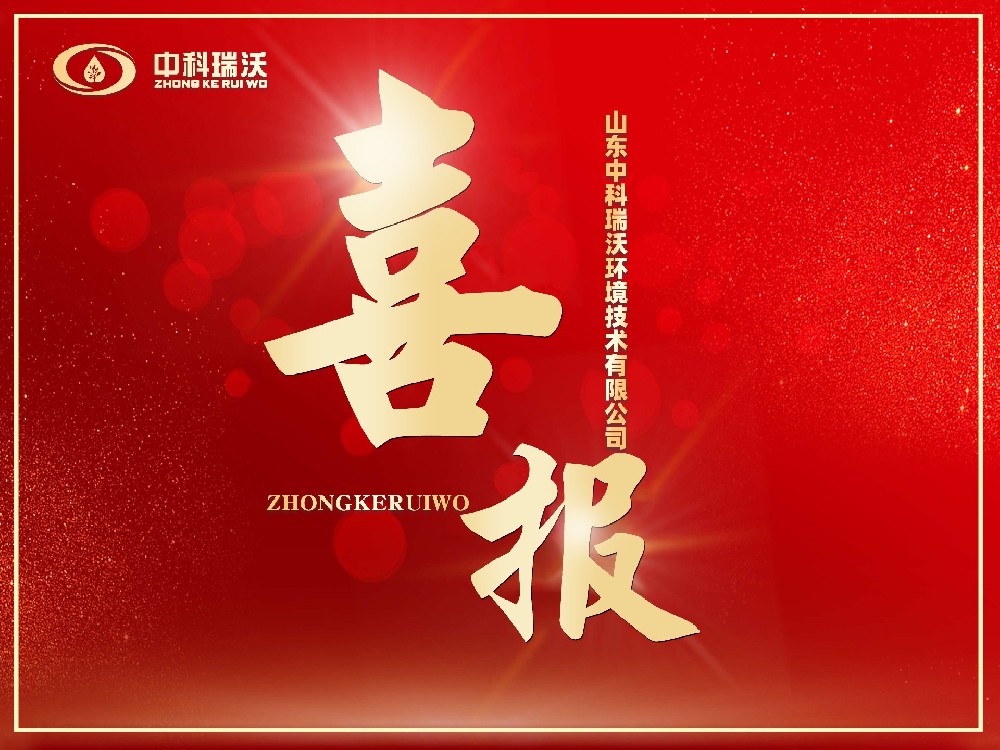 喜报丨恭喜美加墨世界杯官网
成功获批“山东省2024年度专精特新中小企业”